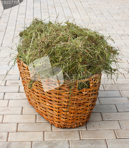 Image of Basket with hay