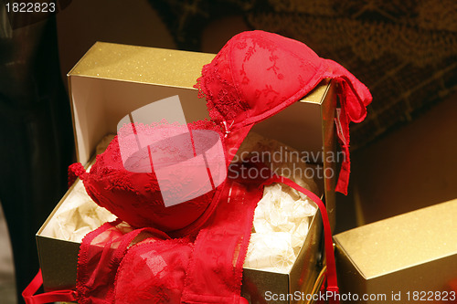 Image of Seductive present