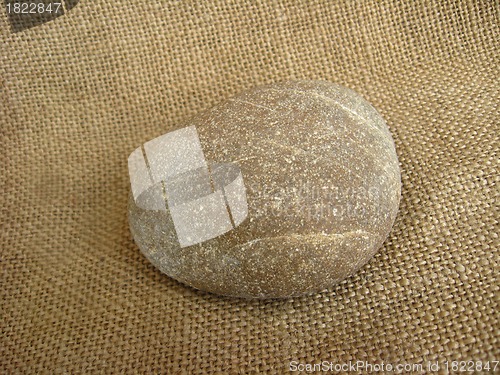 Image of Marine stone on a brown background