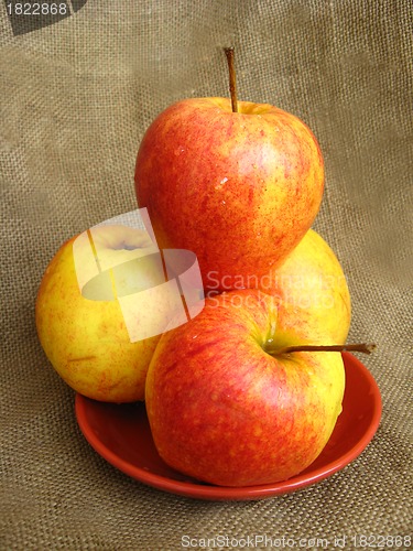 Image of four nice apples on the plate