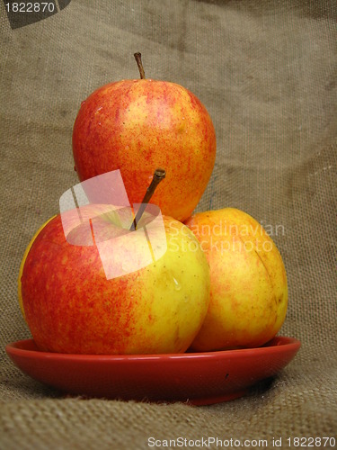 Image of four nice apples on the plate