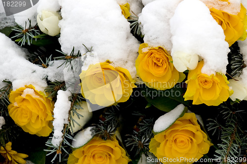 Image of Memorial Wreath 01