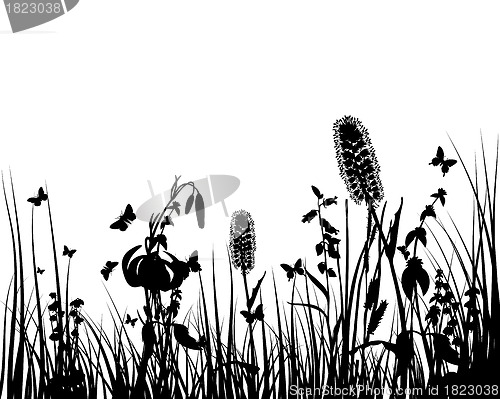 Image of meadow silhouettes