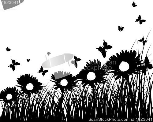 Image of meadow silhouettes