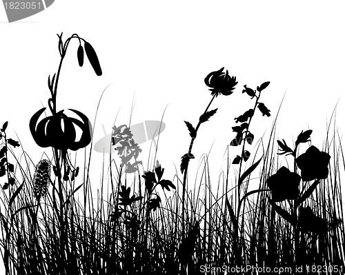 Image of meadow silhouettes