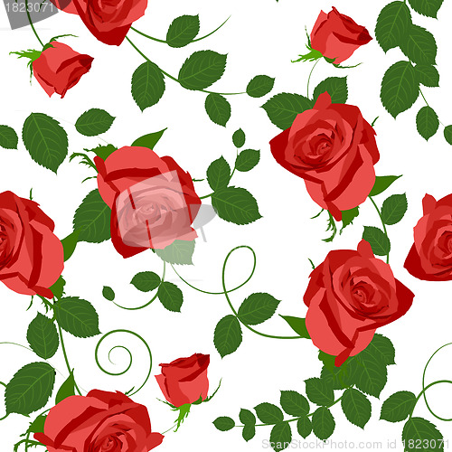 Image of seamless floral pattern