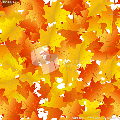 Image of maples leaves seamless