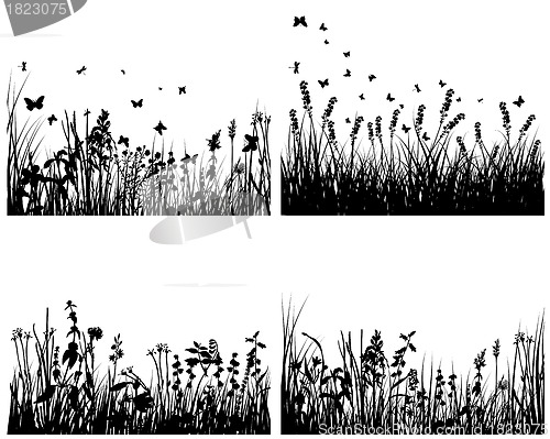 Image of meadow silhouettes