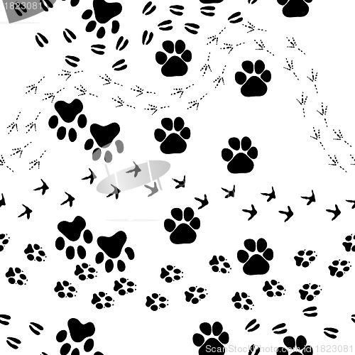 Image of Animal footprint seamless pattern