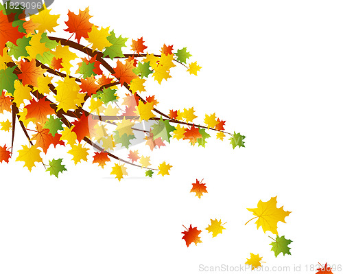 Image of Autumn background