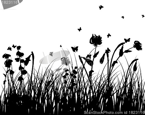 Image of meadow silhouettes