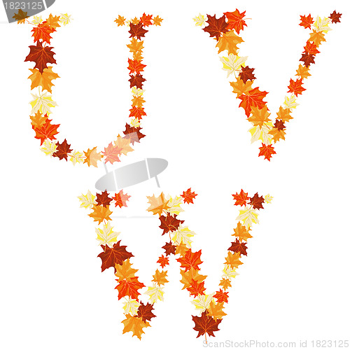 Image of Autumn maples leaves letter