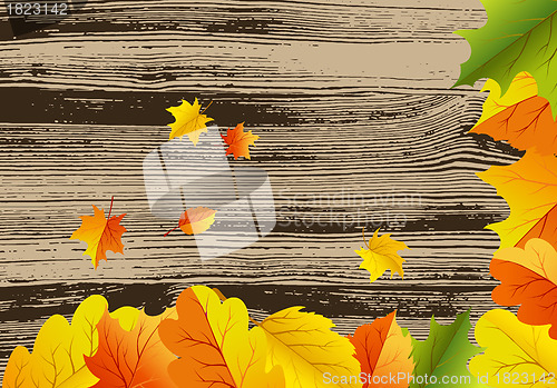 Image of Autumn background