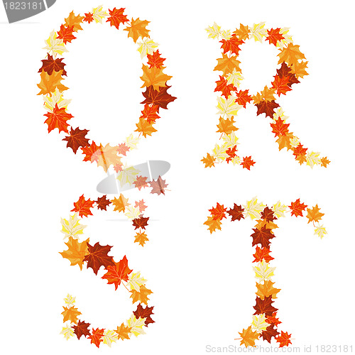 Image of Autumn maples leaves letter