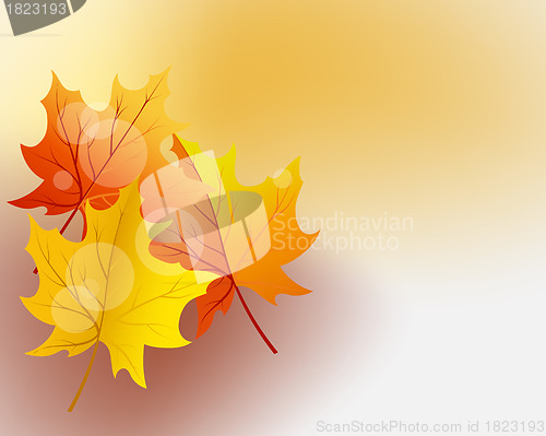 Image of Autumn background