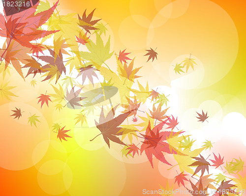 Image of Autumn background