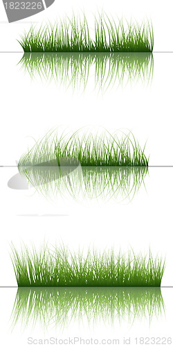 Image of grass on water