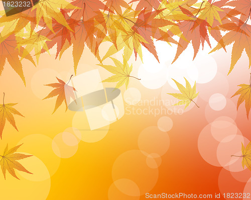 Image of Autumn background