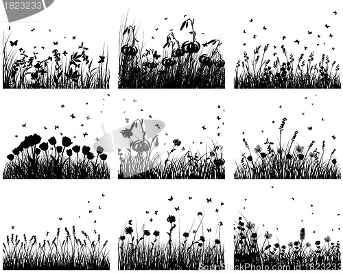 Image of meadow silhouettes