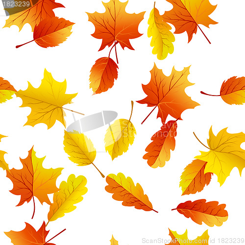 Image of maples leaves seamless