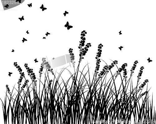 Image of meadow silhouettes