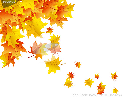 Image of Autumn background