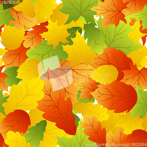 Image of maples leaves seamless