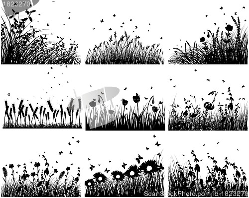 Image of meadow silhouettes