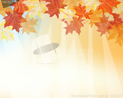 Image of Autumn background