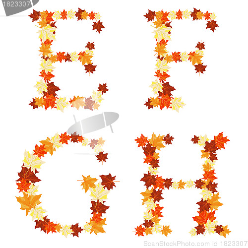 Image of Autumn maples leaves letter