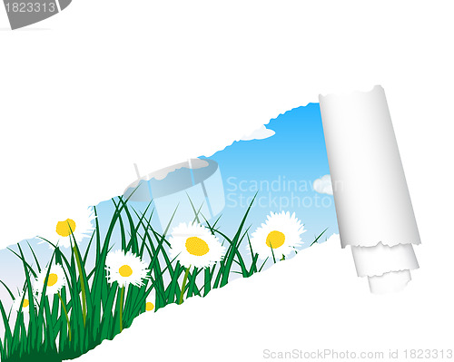 Image of meadow silhouettes with ripped stripe