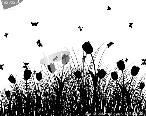 Image of meadow silhouettes