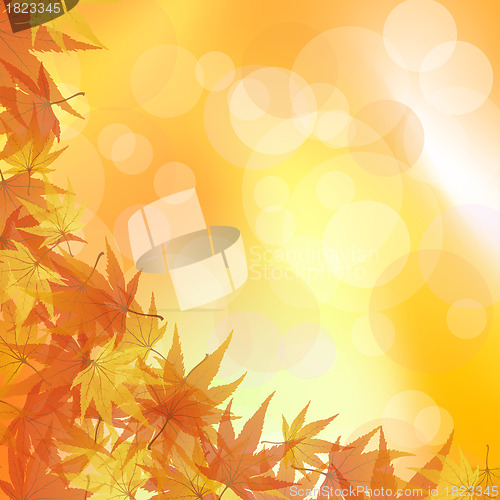 Image of Autumn background