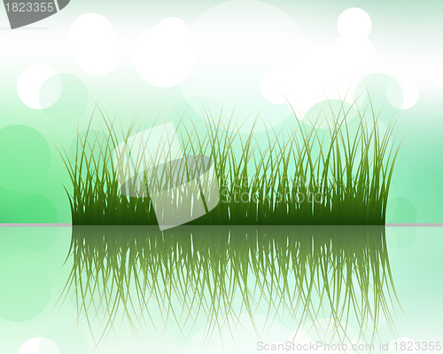 Image of grass on water