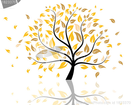 Image of Autumn tree 