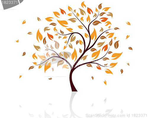 Image of Autumn tree 