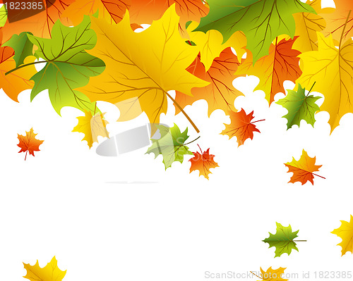 Image of Autumn background