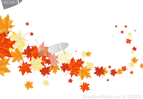 Image of Autumn background