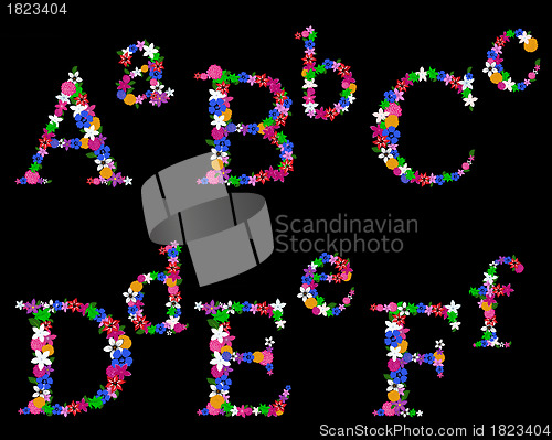 Image of floral alphabet