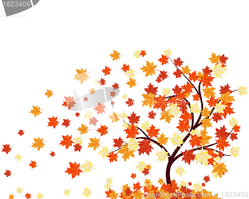 Image of Autumn background