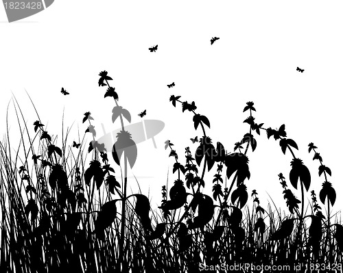 Image of meadow silhouettes