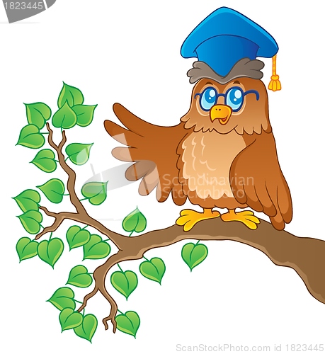 Image of Owl teacher theme image 1