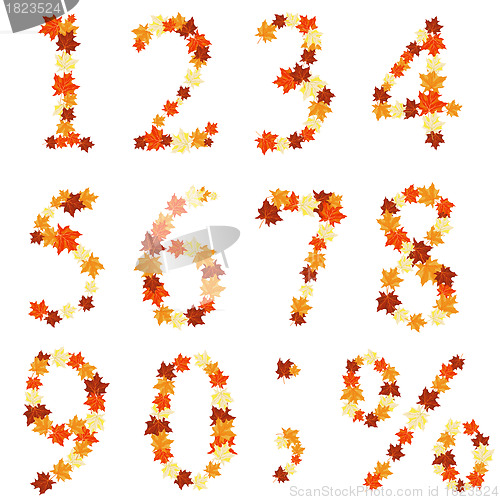 Image of Autumn maples leaves numeral