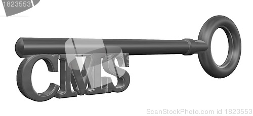 Image of cms key