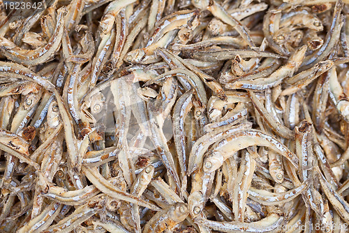 Image of Whitebait - anchovies