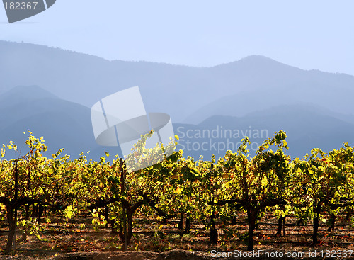 Image of California winery