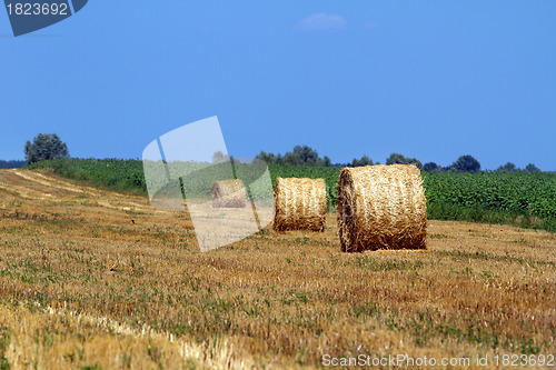 Image of Hay bales