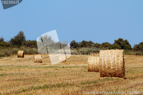 Image of Hay bales