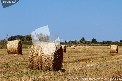 Image of Hay bales