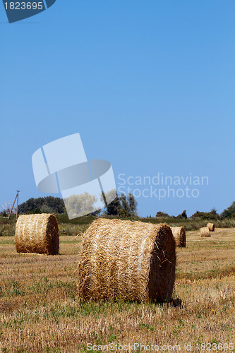 Image of Hay bales